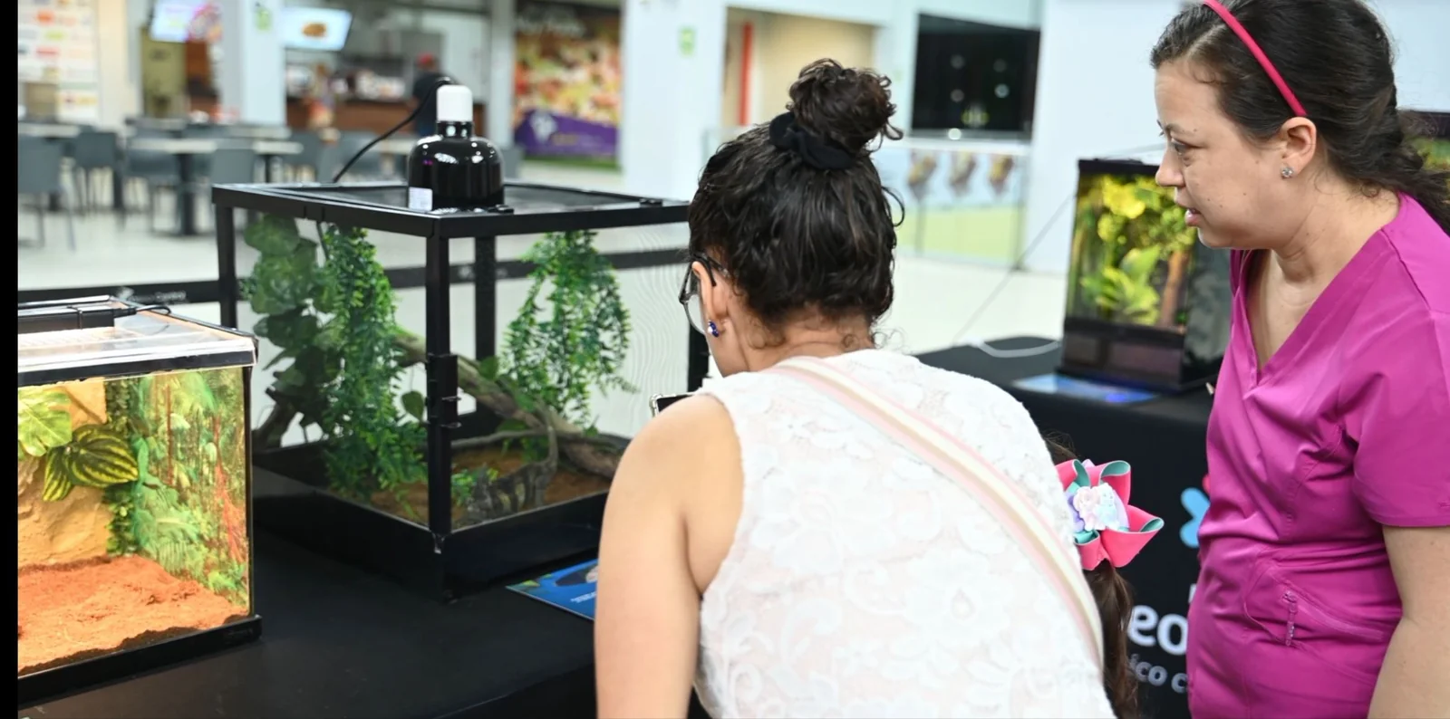 Familia observando los terrarios de Exzoo Chitré en Mall Paseo Central 2024